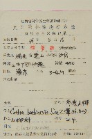 華東山柳藏品圖，第2張