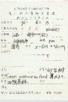 燈臺樹藏品圖，第2張