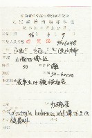 打碗花藏品圖，第2張