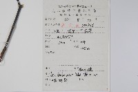 扇葉槭藏品圖，第2張