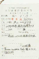 飛蛾藤藏品圖，第2張