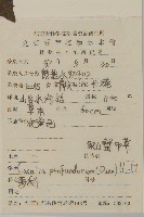 深山蟹甲草藏品圖，第2張