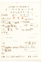 六角草藏品圖，第2張