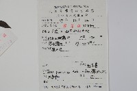 密毛假黃楊藏品圖，第2張