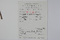 假黃楊藏品圖，第2張