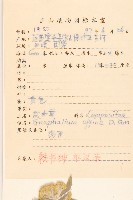 枇杷葉莢迷藏品圖，第2張