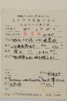 刺果衛矛藏品圖，第2張