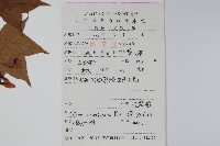 五裂槭藏品圖，第2張