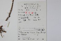 宿柱三角咪藏品圖，第2張