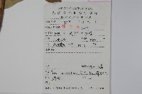 厚葉冬青藏品圖，第2張