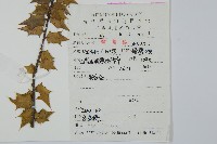 登錄號:S053543藏品圖，第2張