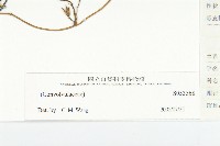 登錄號:S053568藏品圖，第3張