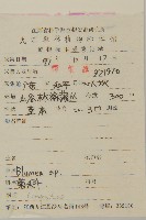 大頭艾納香藏品圖，第2張