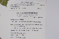 武靴藤藏品圖，第2張