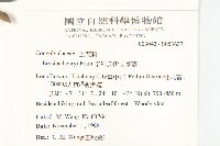 亨利氏伊立基藤藏品圖，第2張