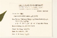 田代氏澤蘭藏品圖，第2張