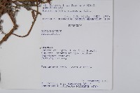 登錄號:S053667藏品圖，第2張