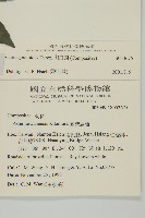 山白蘭藏品圖，第2張