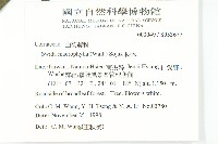 梜木藏品圖，第2張