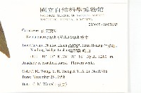 梜木藏品圖，第2張