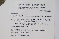 臺灣樹參藏品圖，第2張