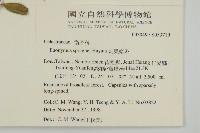 刺果衛矛藏品圖，第2張