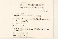 臺灣澤蘭藏品圖，第2張