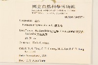 銀膠菊藏品圖，第2張