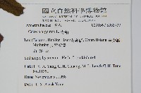 青葙藏品圖，第2張