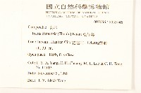 兔仔菜藏品圖，第2張