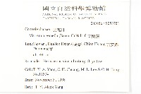 菜欒藤藏品圖，第2張