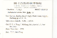 葶藶藏品圖，第2張