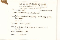 兔仔菜藏品圖，第2張