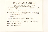 一枝香藏品圖，第2張