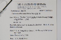 針刺草藏品圖，第5張