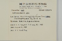 豬草藏品圖，第2張