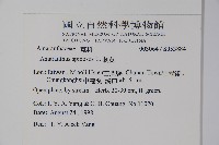 刺莧藏品圖，第2張