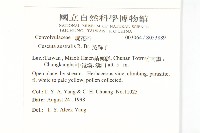 菟絲子藏品圖，第2張