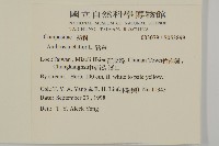 豬草藏品圖，第5張