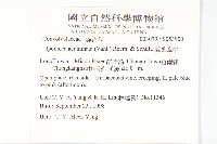 銳葉牽牛藏品圖，第2張