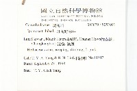 紅花野牽牛藏品圖，第2張