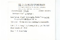 紅花野牽牛藏品圖，第2張