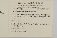 臺灣山白蘭藏品圖，第2張