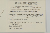 玉山抱莖籟簫藏品圖，第2張