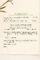 福山氏飛蓬藏品圖，第2張