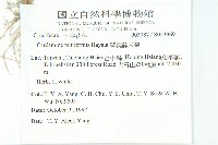 玉山筷子芥藏品圖，第2張