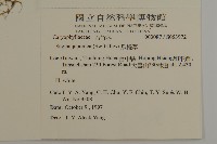 瓜槌草、漆姑草藏品圖，第2張