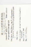 藤胡頹子藏品圖，第2張