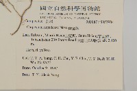 黃金珠藏品圖，第2張