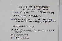 臺灣小蘗藏品圖，第2張